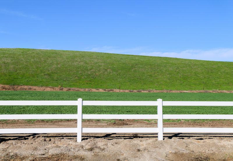 Commercial Fence Painting